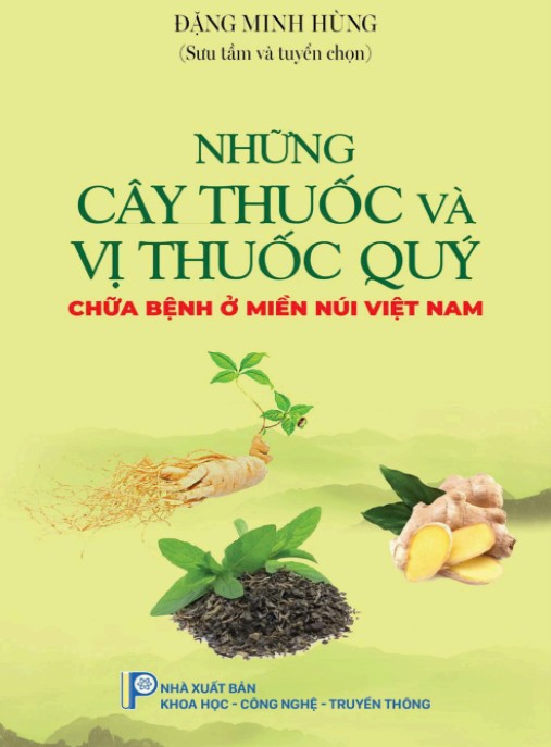 Những Cây Thuốc Và Vị Thuốc Quý Chữa Bệnh Ở Miền Núi Việt Nam – Bí Quyết Thiên Nhiên