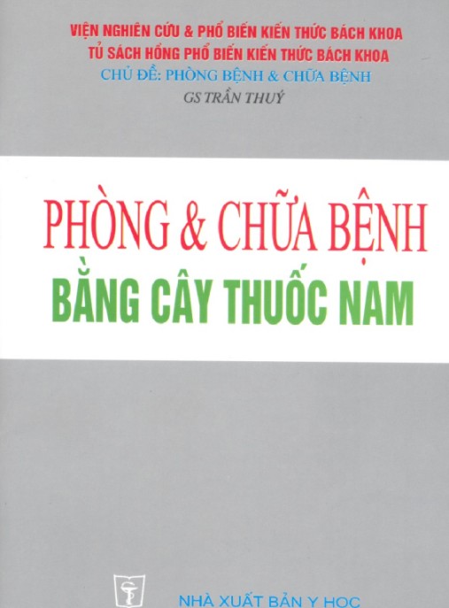Phòng Và Chữa Bệnh Bằng Cây Thuốc Nam – Bí Quyết Sức Khỏe Tự Nhiên Hiệu Quả