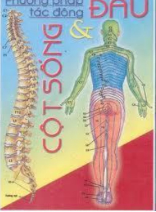 Phương Pháp Tác Động Đầu Và Cột Sống – Bí Quyết Giảm Đau Hiệu Quả