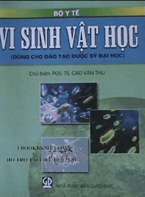 Vi Sinh Vật Học – Đặc Điểm Chung Của Vi Sinh Vật Siêu Ấn Tượng!